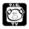 PIG