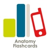 Anatomy Flashcards for iPad