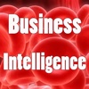 viaNotes Business Intelligence