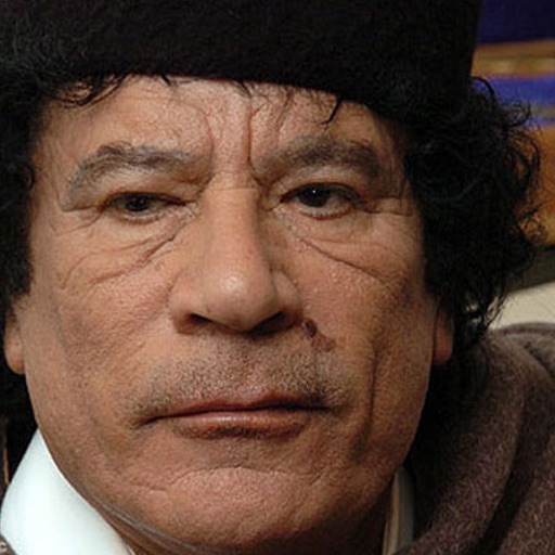 The Green Book by Gaddafi icon