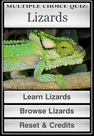 Lizards screenshot 3