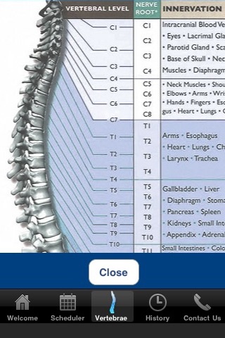 Back Pain 411 with Appointment Scheduler