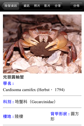 墾丁陸蟹趣 Crab Taiwan KT screenshot 3