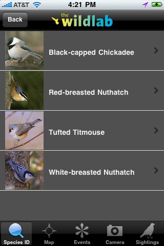 WildLab Bird screenshot 3