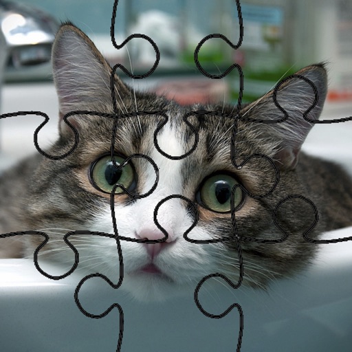 Cat Puzzles! icon