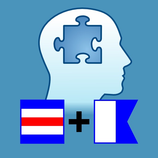 Brainy Puzzles icon