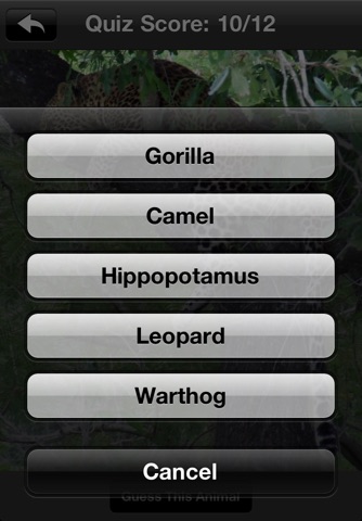 Animals Of Africa. screenshot 3
