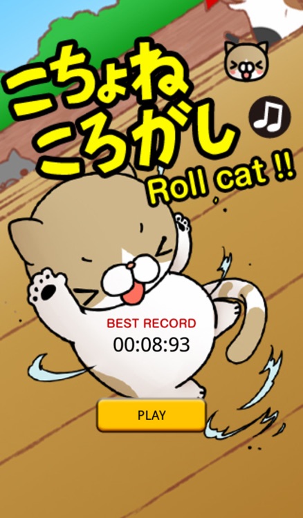 Roll cat !!