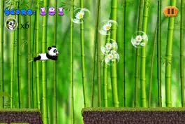 Game screenshot Panda Run In The Jungle Free - Can You Hop To The Finish? mod apk