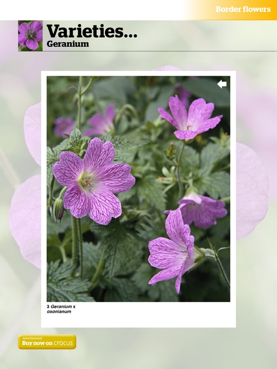 Gardeners’ World Magazine - 100 Best Plants screenshot-3