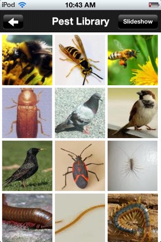 World Pest Control screenshot 2