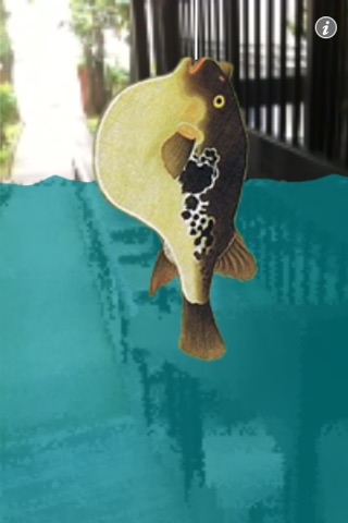 Fish On screenshot 4
