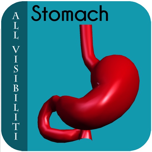All Visibility Stomach II icon