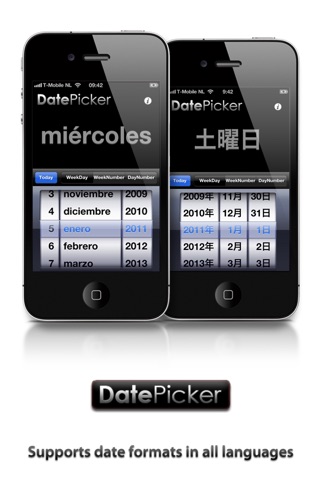 DatePicker screenshot 2