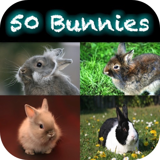 50 Bunnies - Cute Sweeties icon