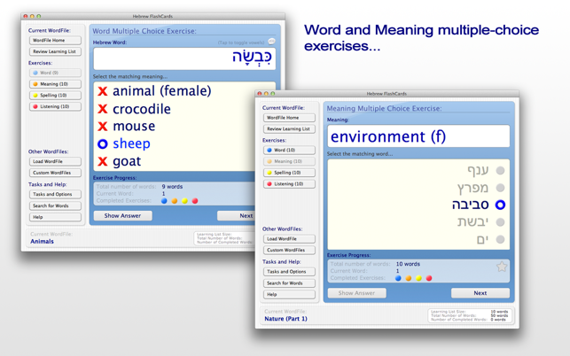 Hebrew FlashCards BASIC(圖3)-速報App