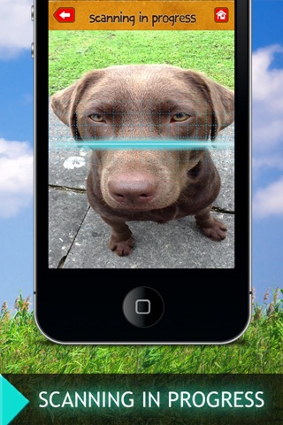 Dog horoscope booth: Free astrology readings for your pet screenshot 2