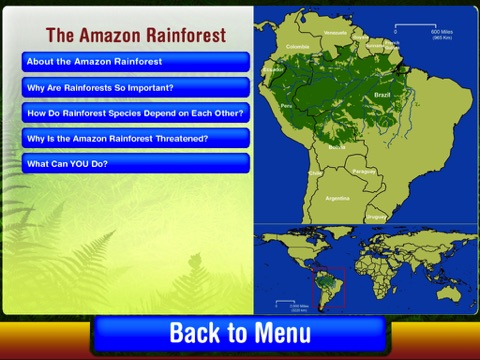 Rainforest Survival Challenge screenshot 4