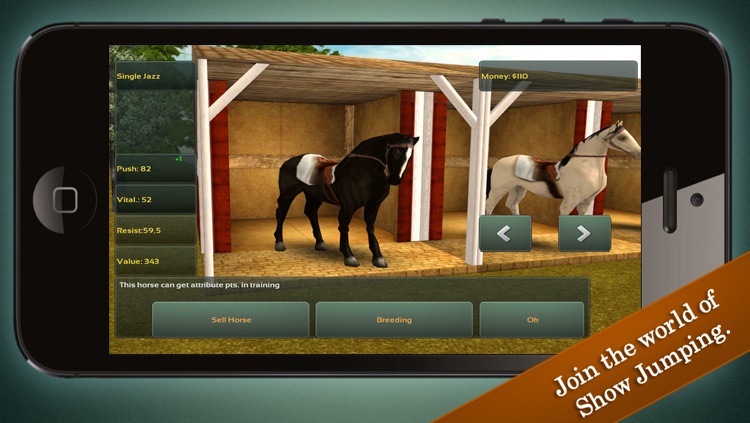 Jumping Horses Champions screenshot-3