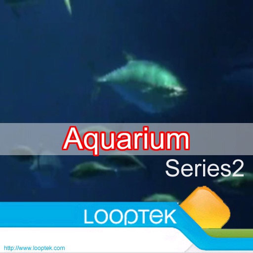 Aquarium Series 2 by LoopTek icon