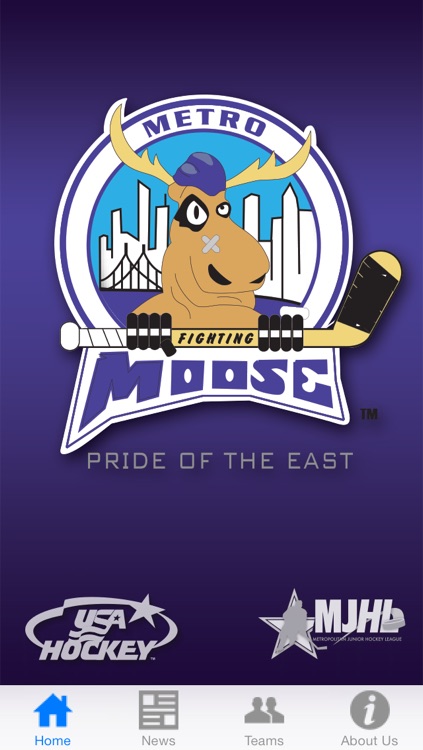 Metro Moose Hockey