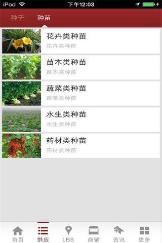 中国种苗网 screenshot 3