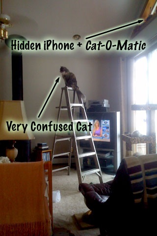 Cat-O-Matic Free Edition