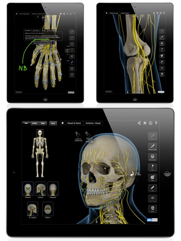 Brain & Nervous System Pro III screenshot 4