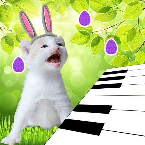 Cute 3D Easter Bunny Kitten Piano