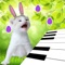 Cute 3D Easter Bunny Kitten Piano