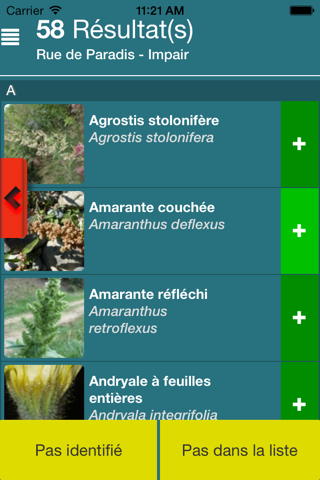 Sauvages de ma rue : identification des plantes sauvages des villes screenshot 4