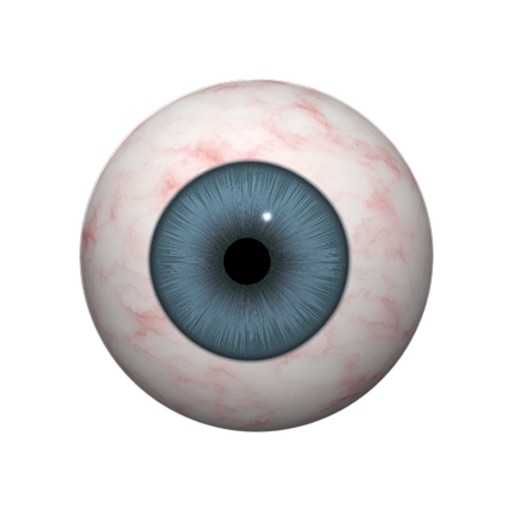 Eye Know Icon