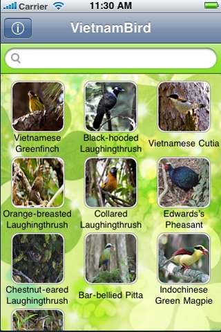 VietnamBird screenshot 2