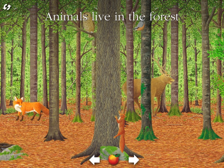 Scholastic First Discovery: The Forest for iPad