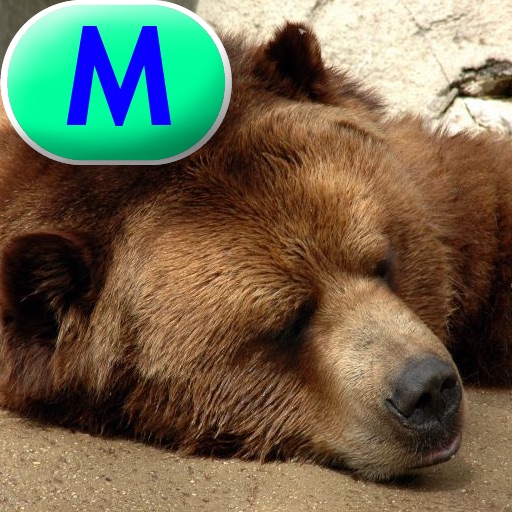 Hibernation – LAZ Reader [Level M–second grade] icon