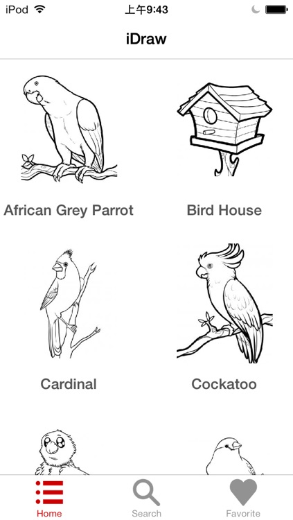 How to draw birds - FREE