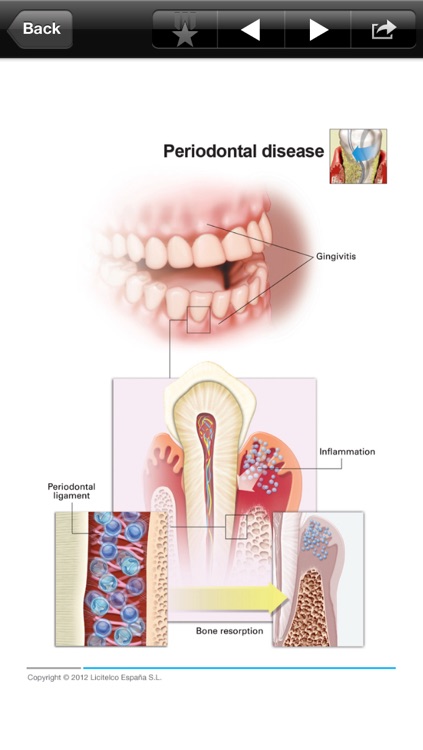 Dentistry Mini Atlas screenshot-3