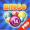 Bingo Mania - Bingo Casino Hall Game - Pro Edition