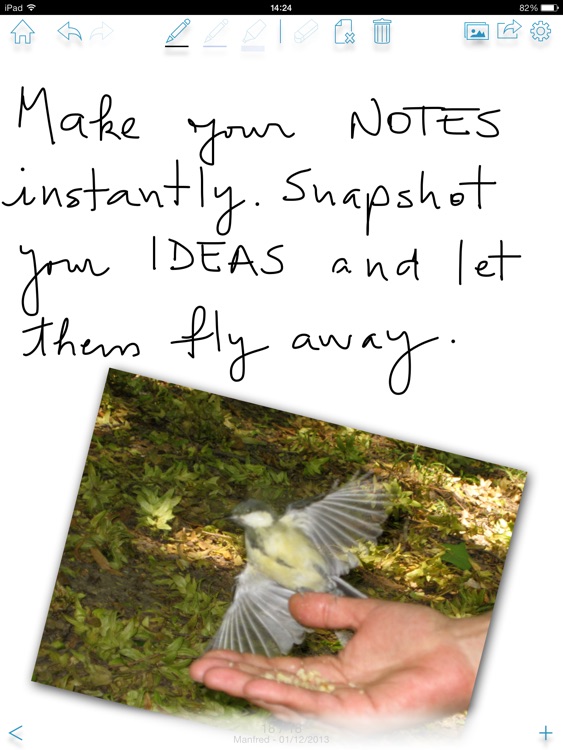 Instant Notes