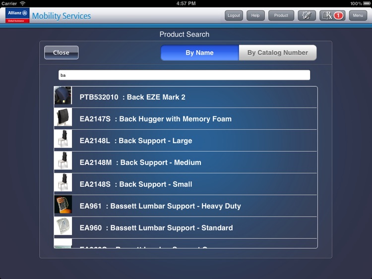 MFS - Mobility and Functional Support Service