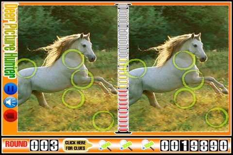 Deer Picture Hunter Game - Spot the Differences of Pics of Animals Wildlife Photography screenshot 2