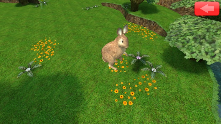 Animated Toddler Puzzles