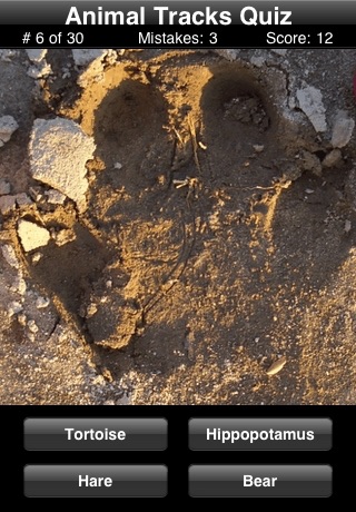 Animal Tracks Quiz screenshot1