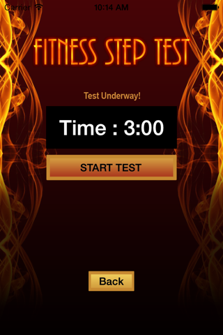 Fitness Step Test- VO2max screenshot 3