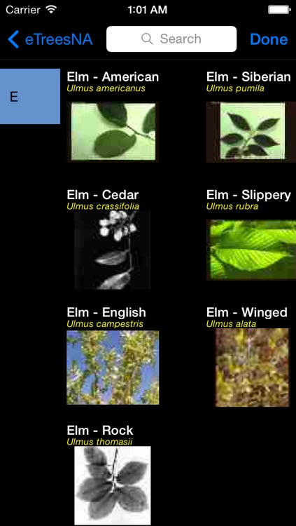 Trees, Shrubs and Vines of North America - eTreesNA - A Tree App