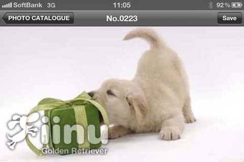 Look!GoldenRetriever screenshot 4