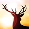 Can you survive as a deer being hunted