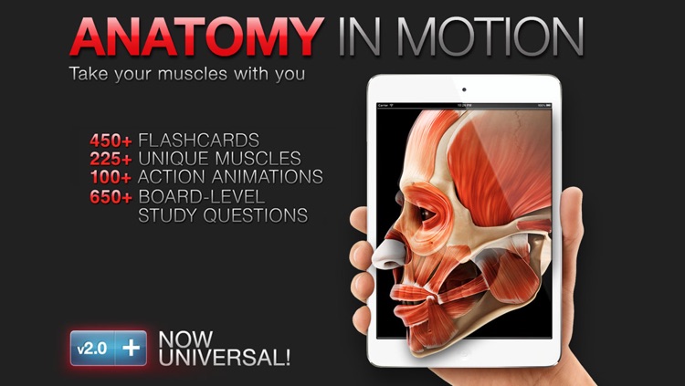 Anatomy In Motion - Complete - Muscle System Flashcards for iPhone and iPad