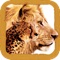 Disneynature vous présente l’application officielle du film Félins