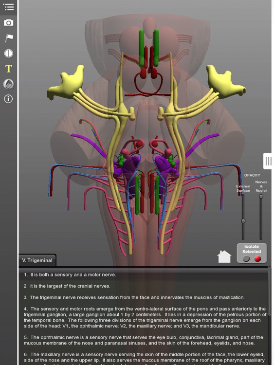 Interactive 3D Brainstem screenshot-4